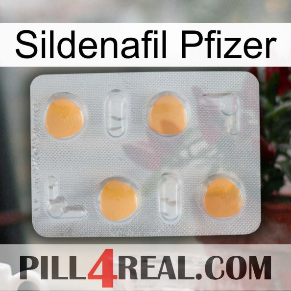 Sildenafil Pfizer 24.jpg